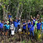 Celebrating Mangrove